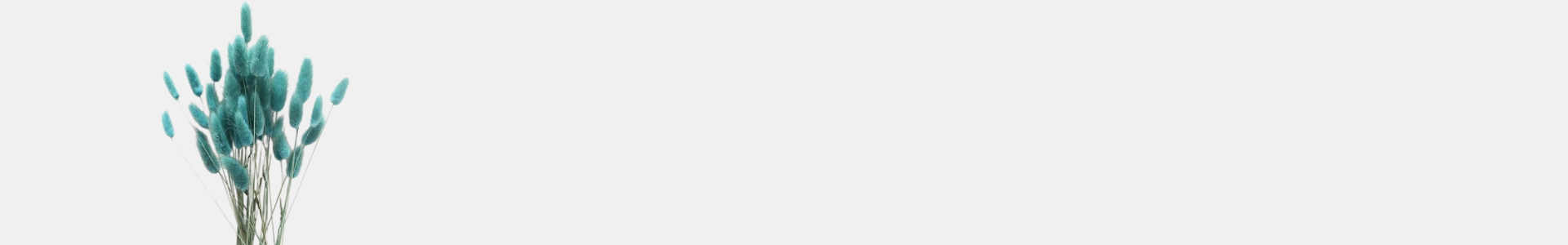 collection-banner-image